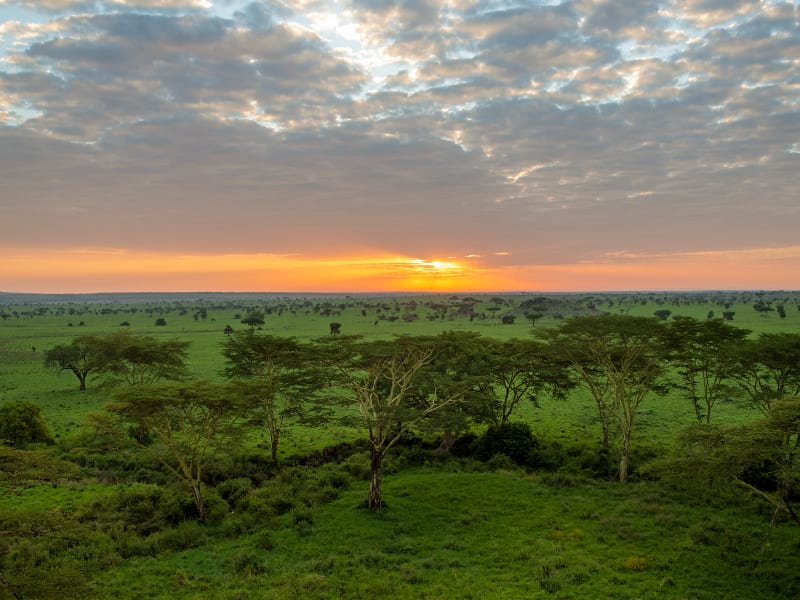 Photography in the Serengeti