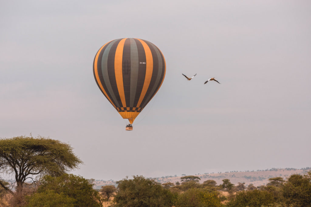 Miracle experience flying in the Serengeti