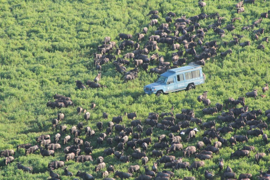 Miracle experience vehicle in the middle of the Serengeti