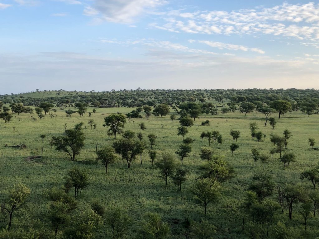 A beautiful ariel view of the Serengeti