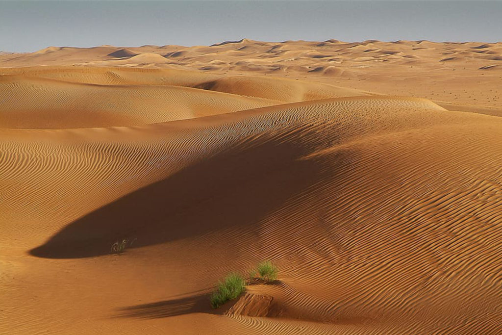 The sahara desert in Tunisia