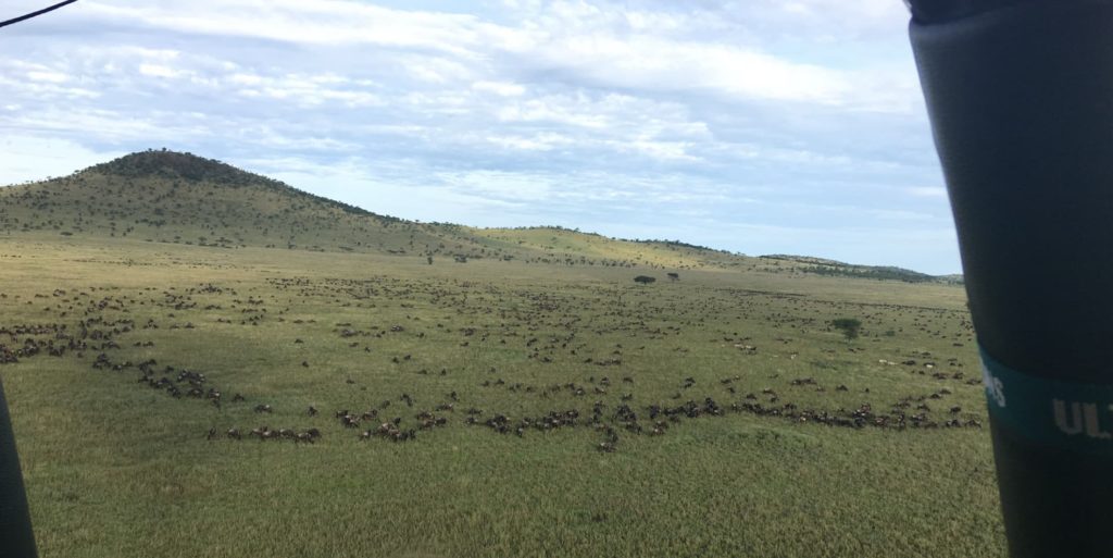 Blick auf die große Wanderung auf einem Ballon-Safari in der Serengeti