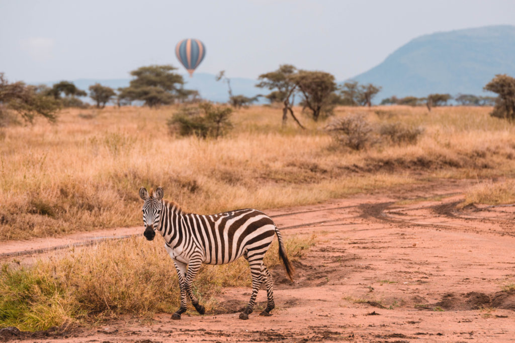 A balloon safari in the Serengeti