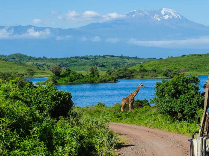 Arusha National Park is a Must-Do activities while in Arusha