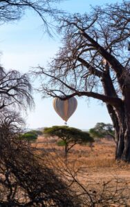 Hot air balloon over the Tarangire national park