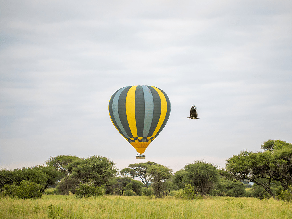 The Miracle Experience Hot Air Balloon Safari At Tarangire 