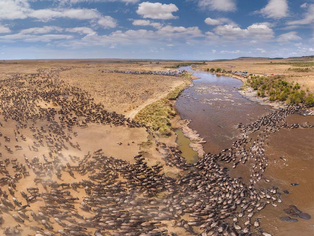 Wildebeest Migration as seen from the Balloon as #1 Thing to Do in Africa!