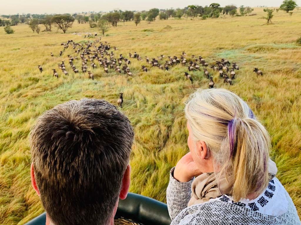 The Wonderful Great Migration Of Kogatende Serengeti