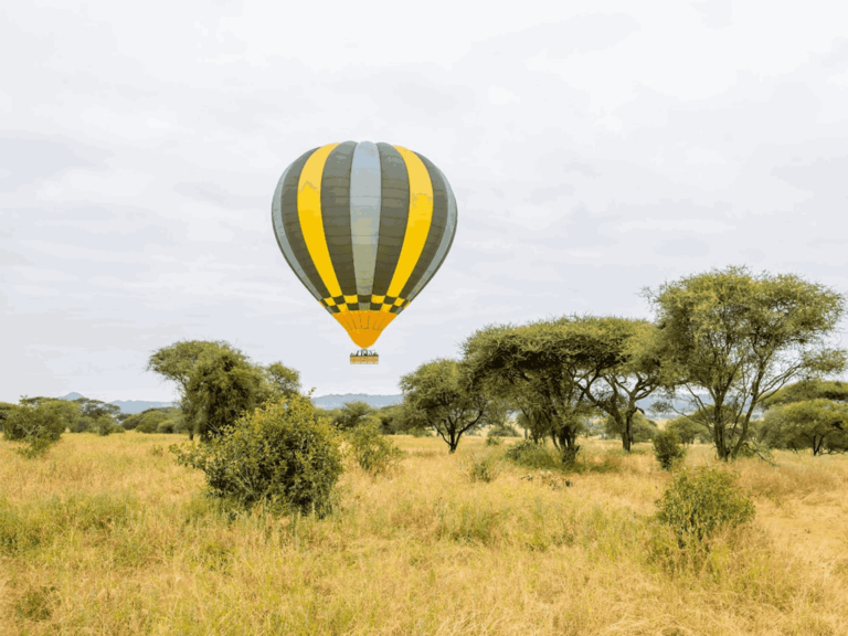 The Miracle Experience Hot Air Balloon Safari in Tarangire National Park